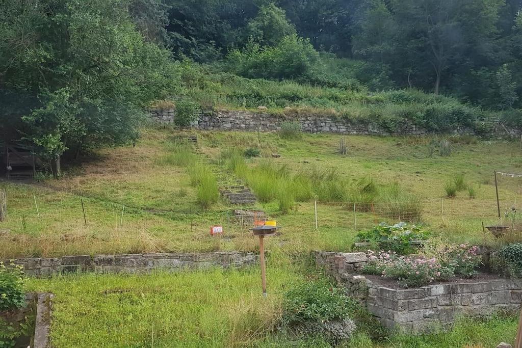 Ferienwohnung Salamander Pirna Dış mekan fotoğraf