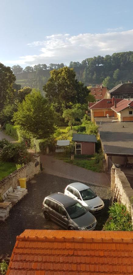 Ferienwohnung Salamander Pirna Dış mekan fotoğraf