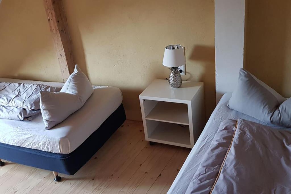 Ferienwohnung Salamander Pirna Dış mekan fotoğraf