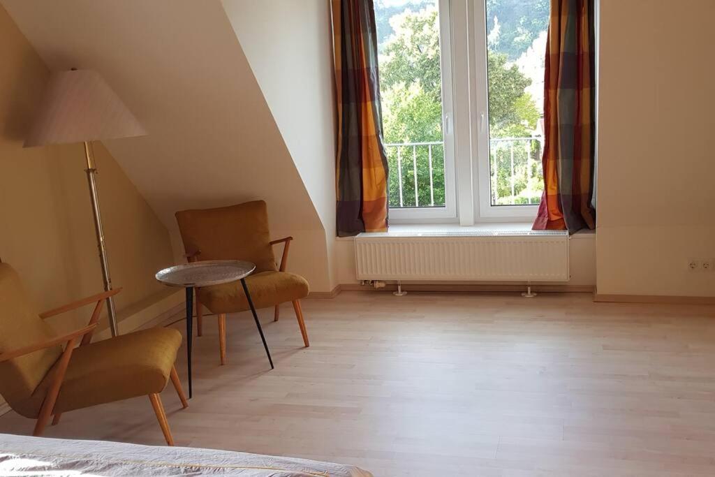 Ferienwohnung Salamander Pirna Dış mekan fotoğraf